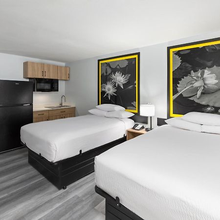 Hotel Super 8 By Wyndham Alexandria La Exterior foto